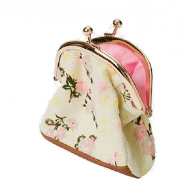 Coin Purse Transparent Free PNG - PNG Play