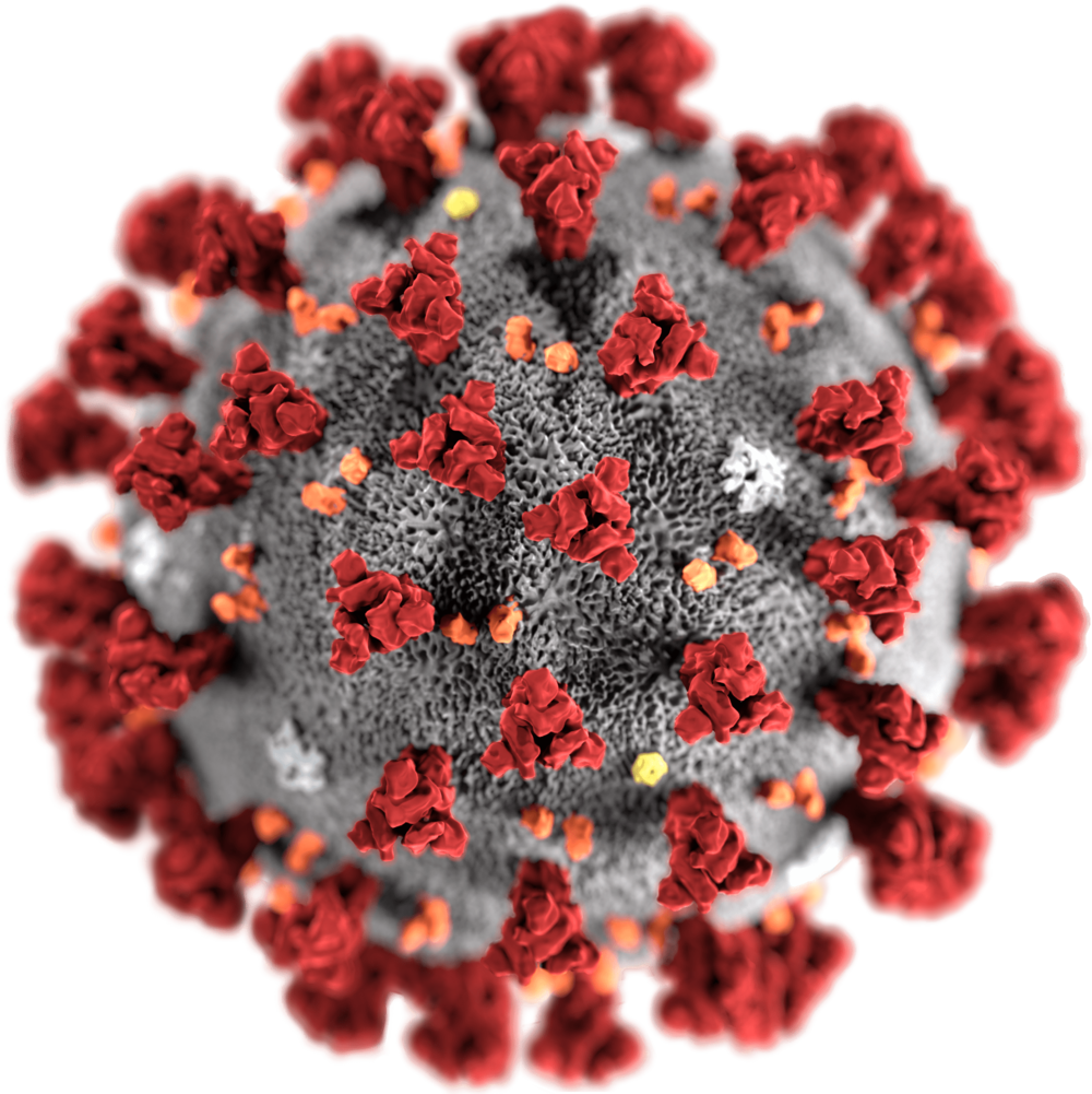 Coronavirus Transparent Clip Art Image
