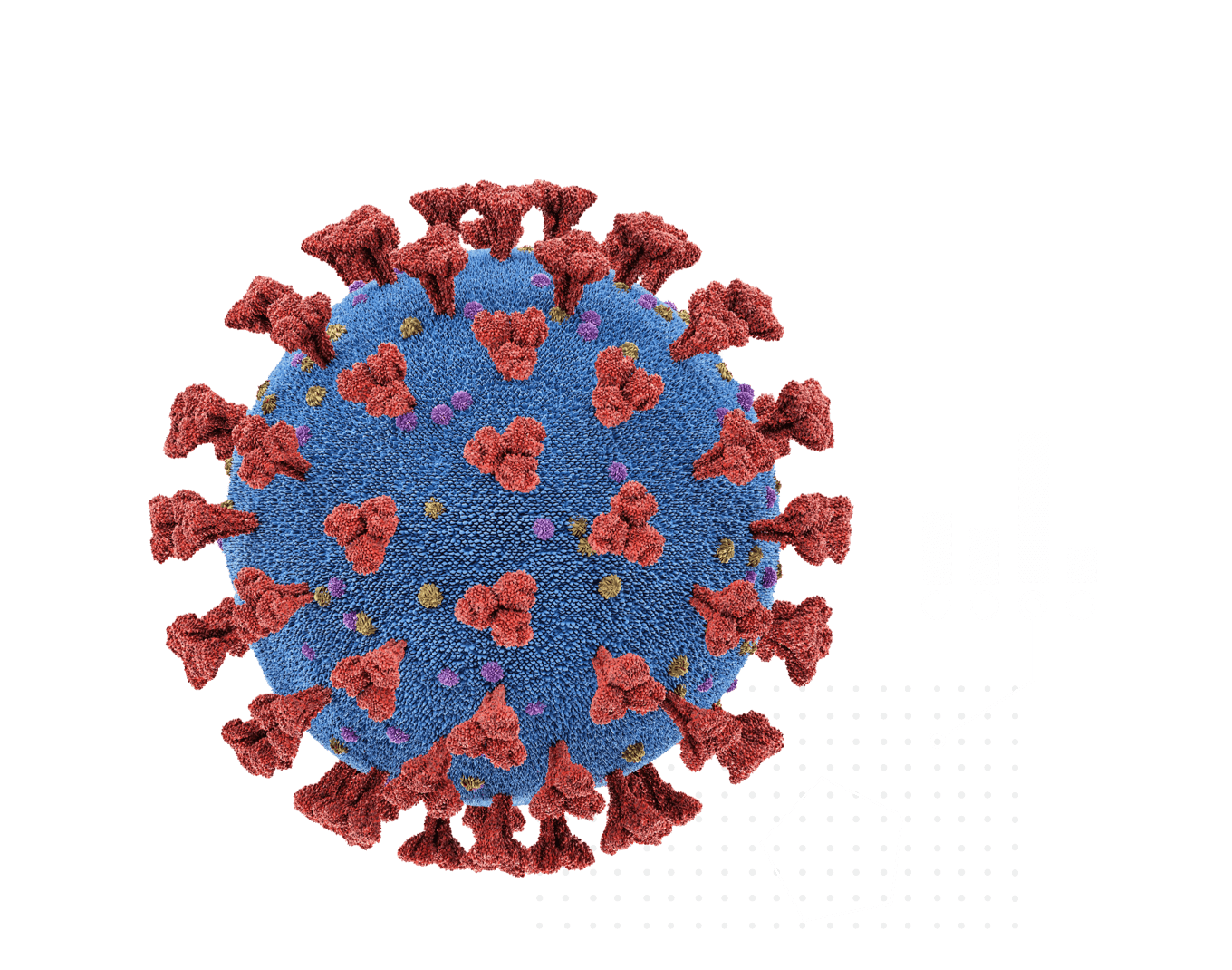 Coronavirus Transparent Images