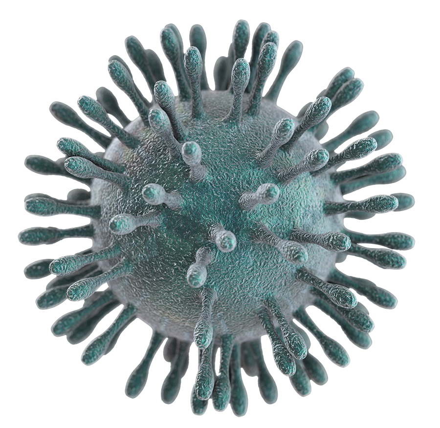 Coronavirus Transparent PNG