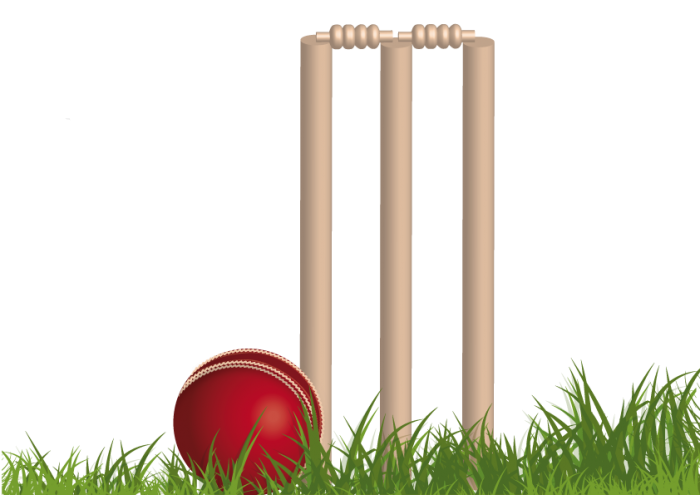 Cricket Download Free PNG