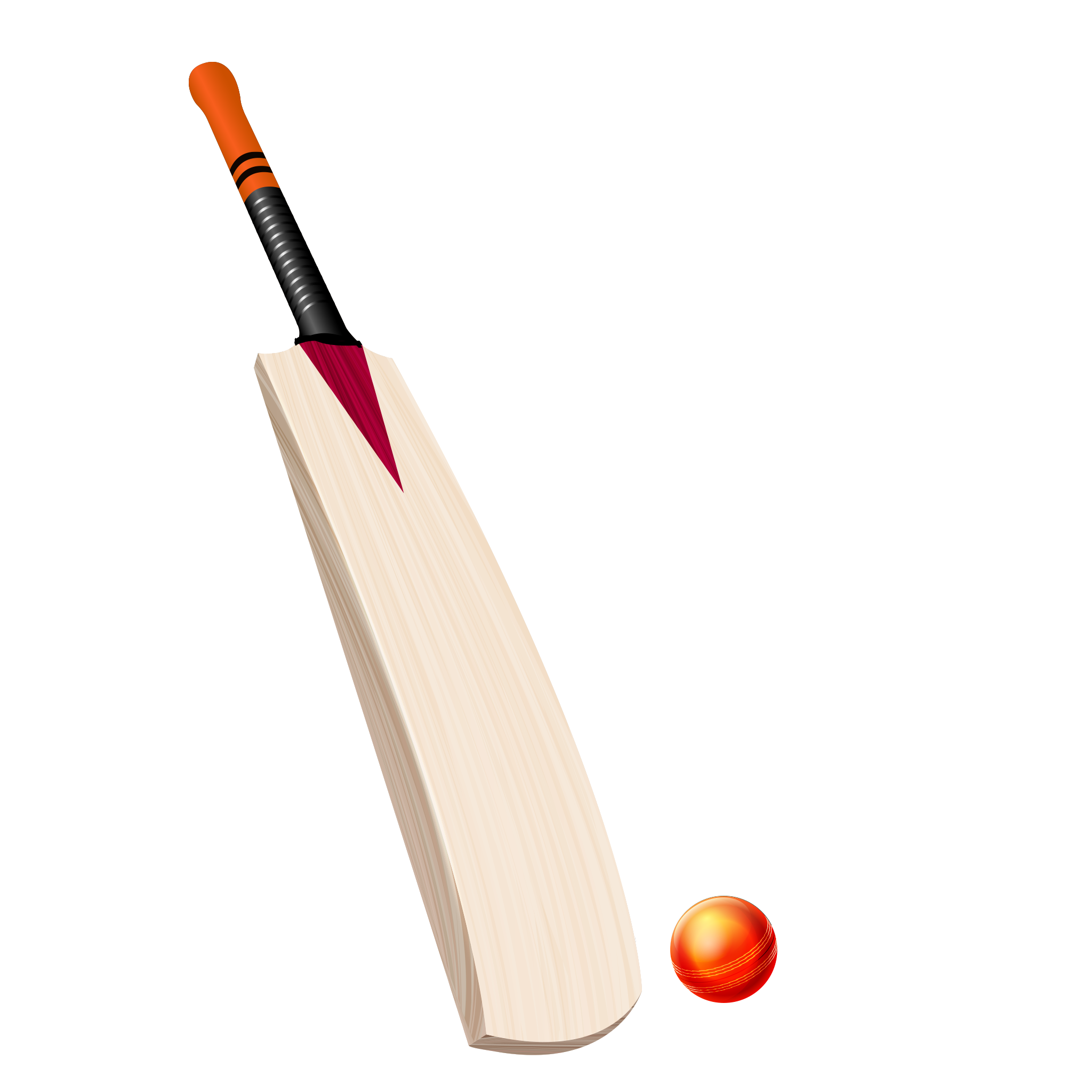 Cricket PNG Background