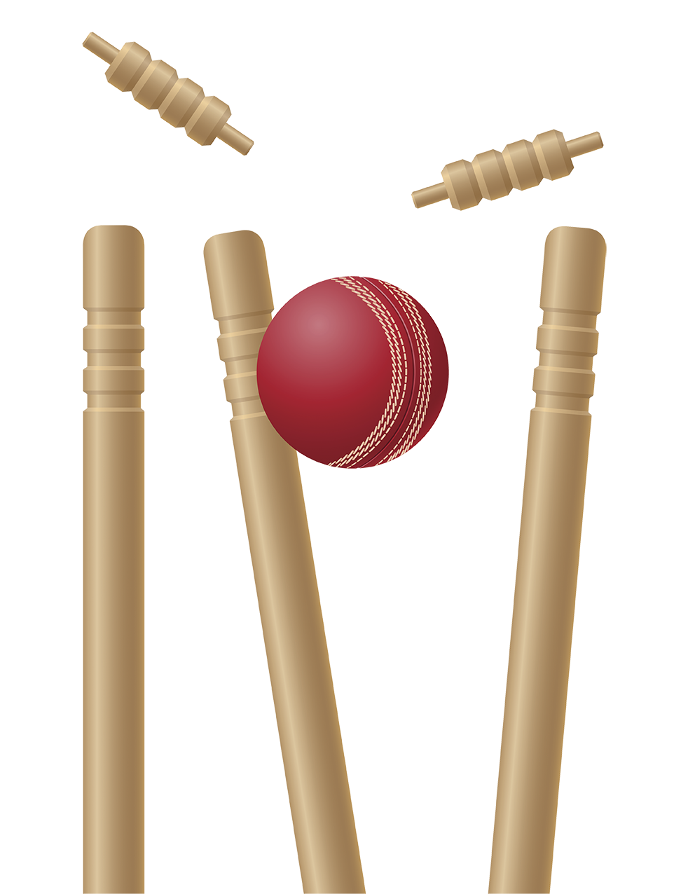 Cricket PNG Photo Image