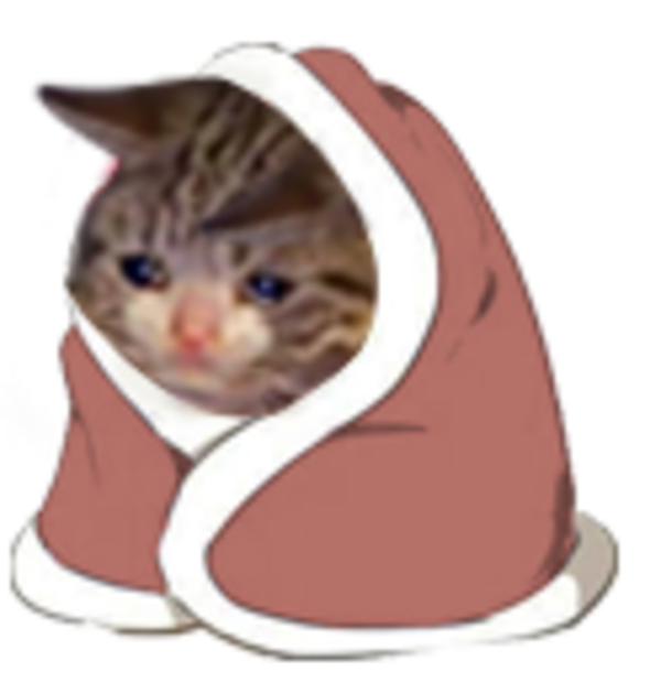 Crying Cat Meme PNG Background