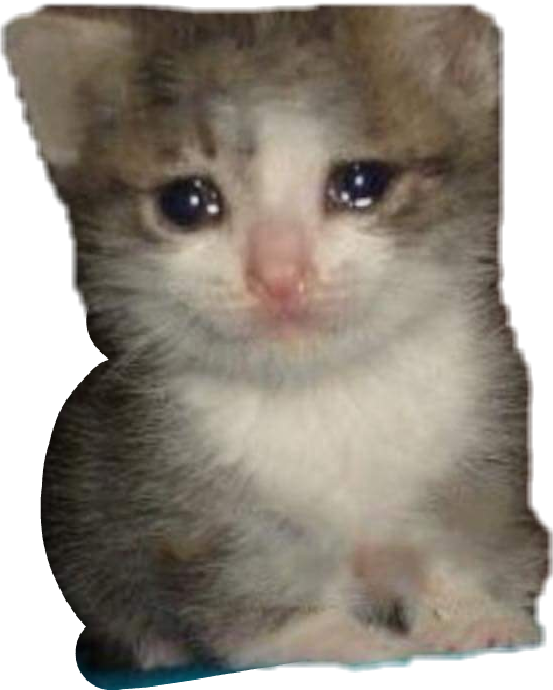 Crying Cat Meme PNG Clipart Background