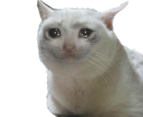 Crying Cat Meme PNG Images HD