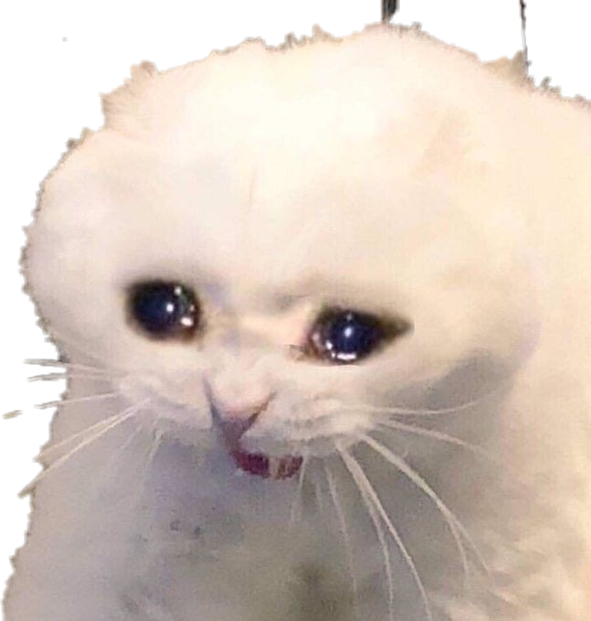 Crying Cat Meme PNG Pic Background