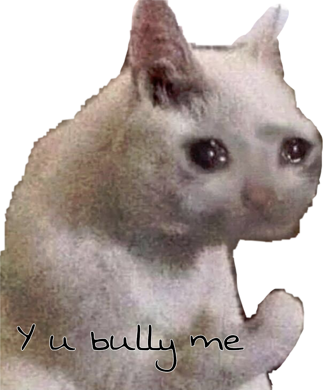 Crying Cat Meme Transparent Background