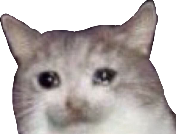 Crying Cat Meme Transparent File