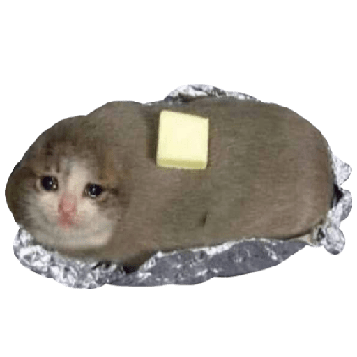Crying Cat Meme Transparent Image