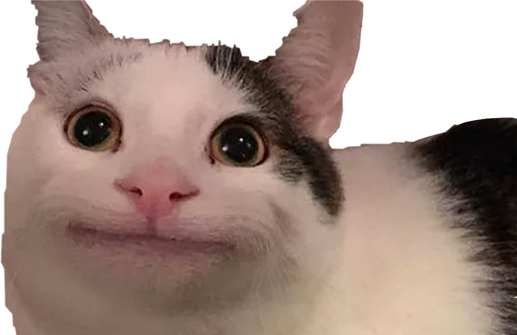 Crying Cat Meme Transparent PNG