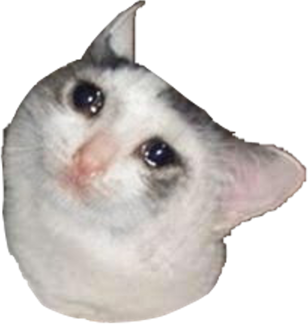 Crying Cat Memes PNG HD Quality