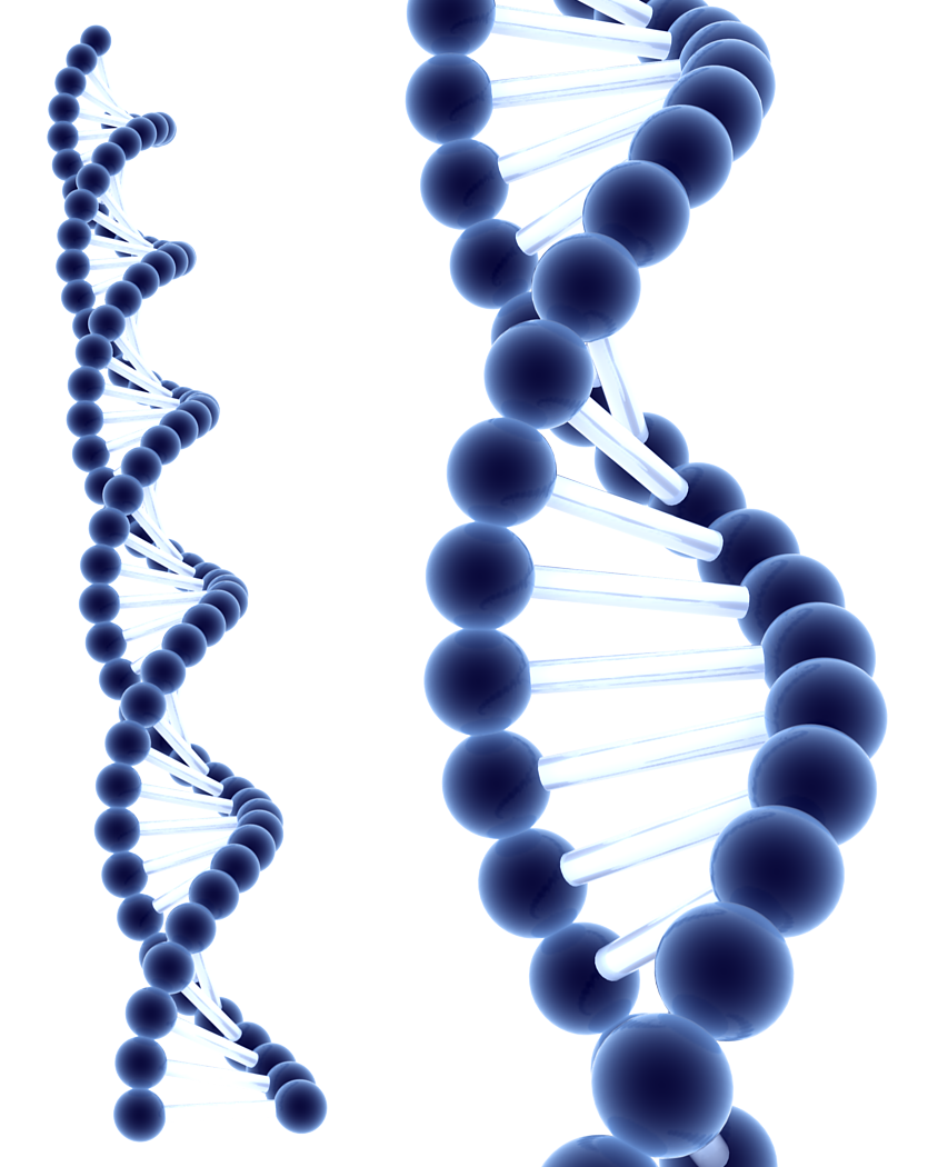 DNA PNG Images HD
