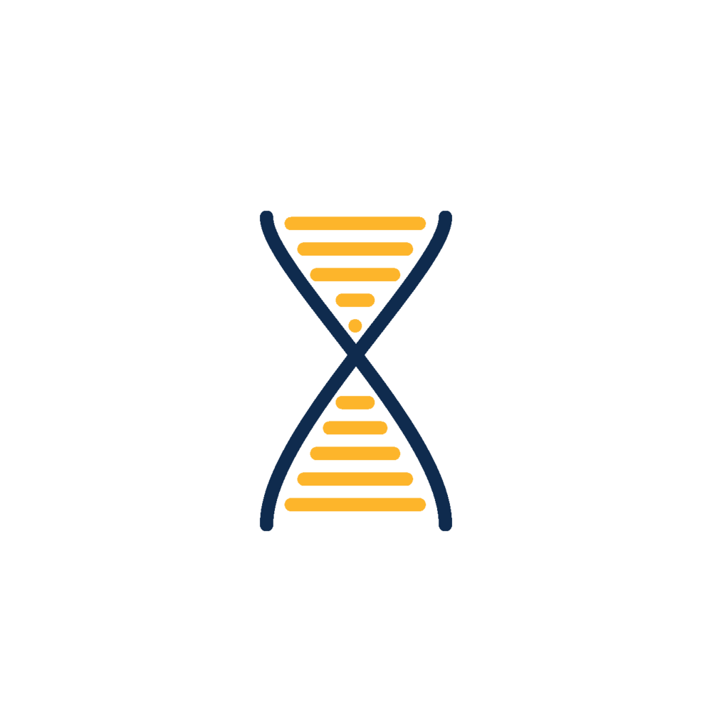 DNA Transparent Image