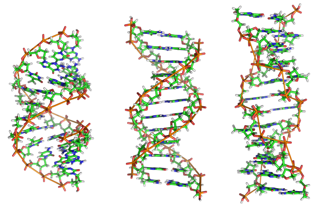DNA Transparent Images