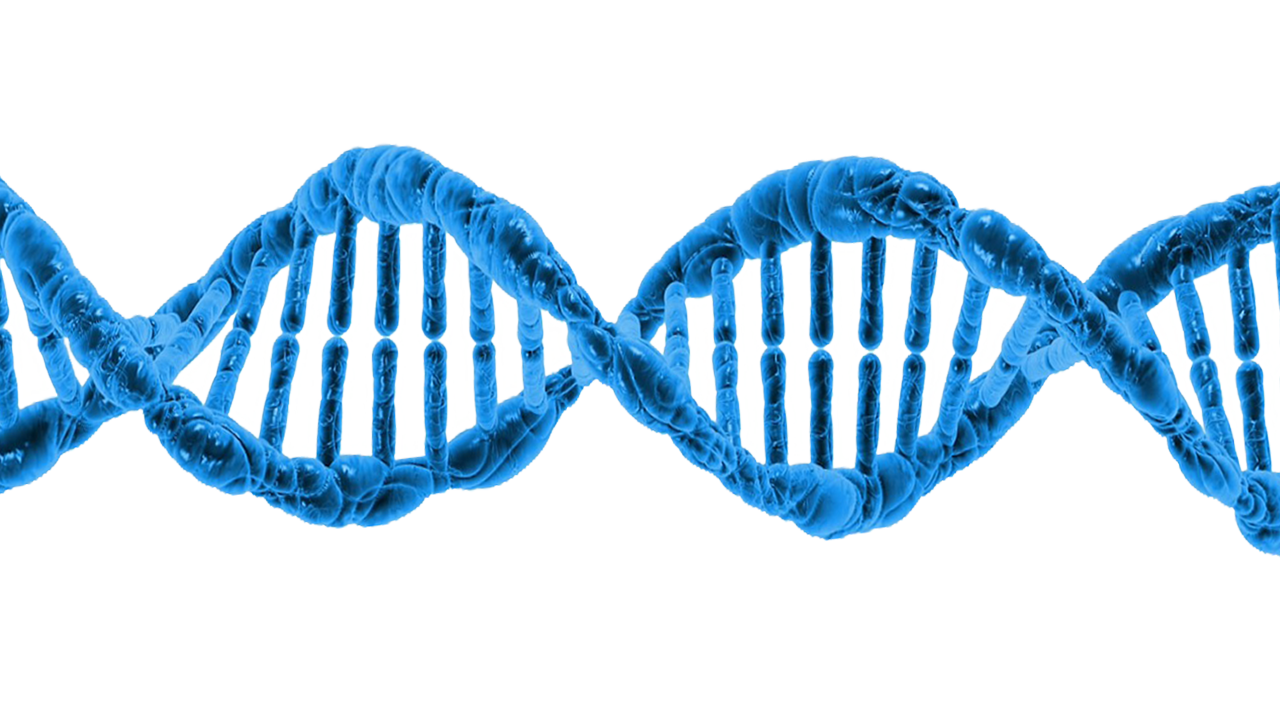 DNA Transparent PNG
