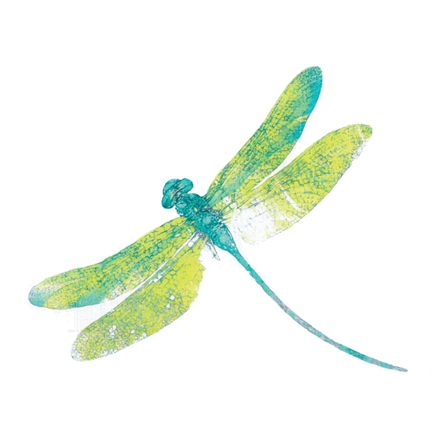 Dragonfly PNG Background