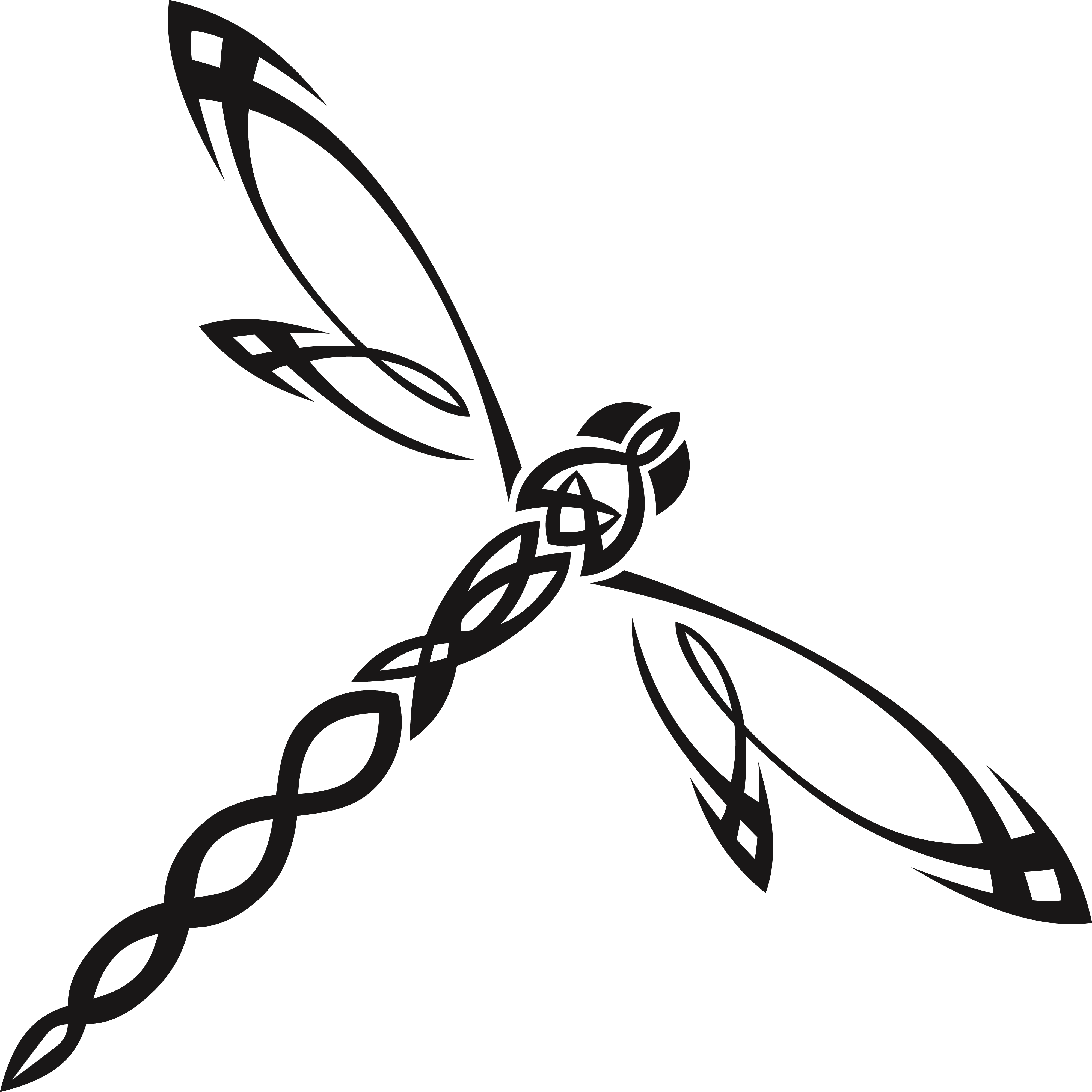 Dragonfly PNG HD Photos