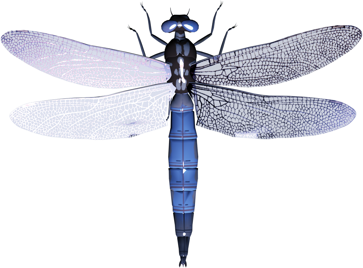 Dragonfly PNG Images HD