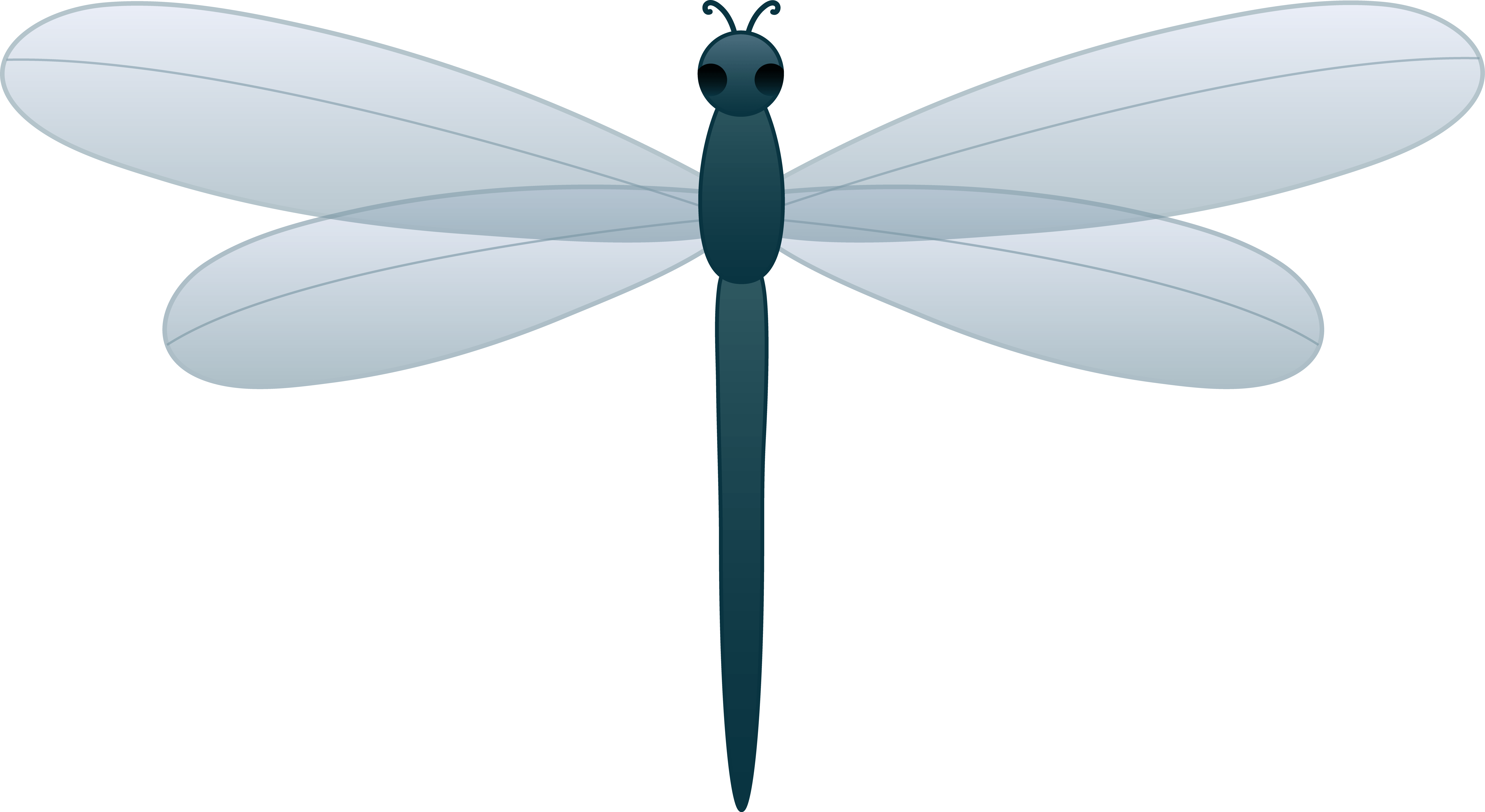 Dragonfly PNG Photo Clip Art Image