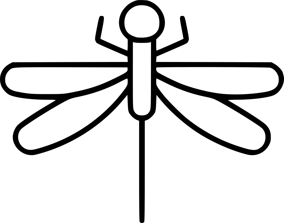 Dragonfly PNG Photo Image