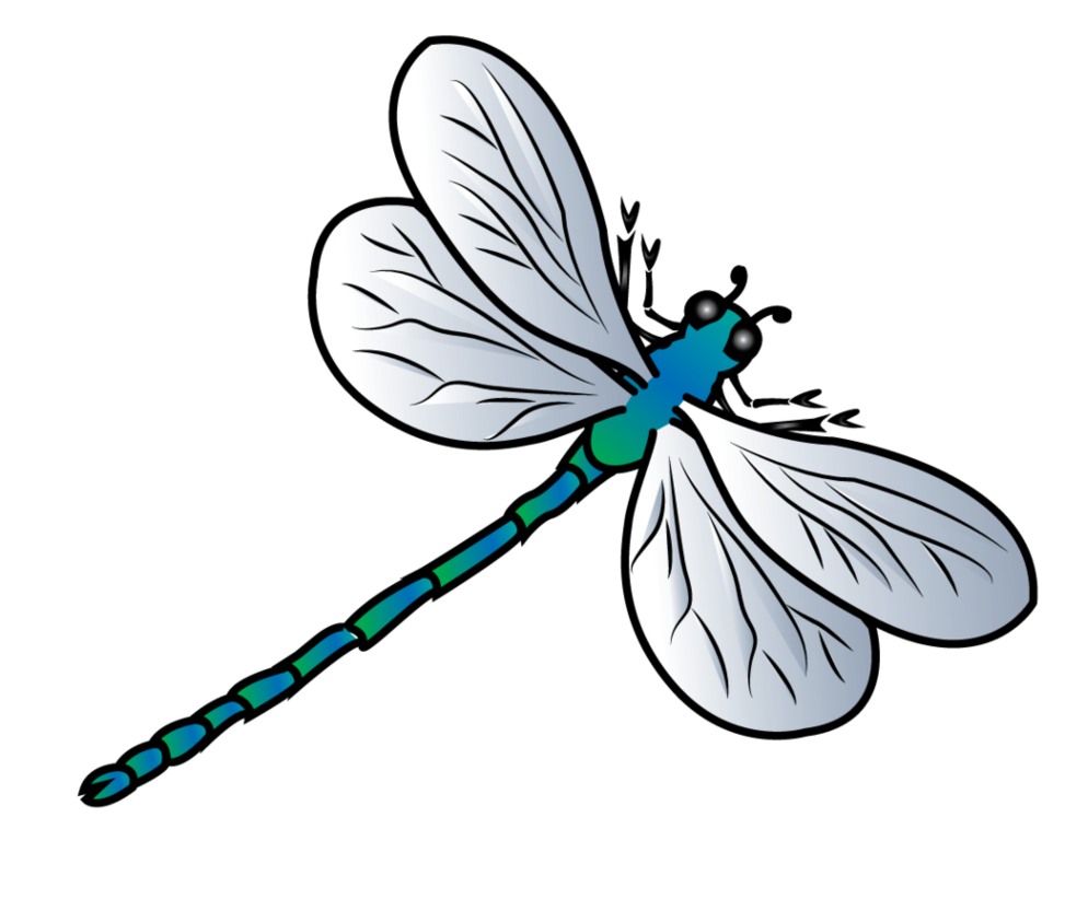 Dragonfly Transparent File