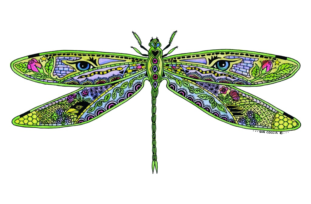 Dragonfly Transparent Free PNG Clip Art