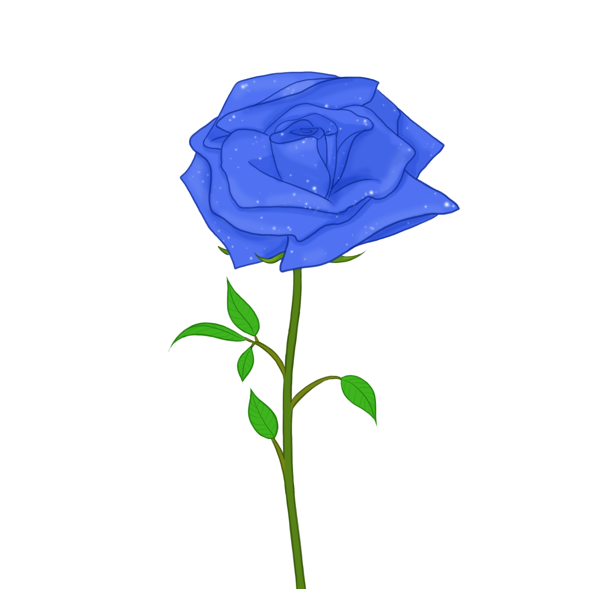 Drawing Of A Rose Download Free PNG