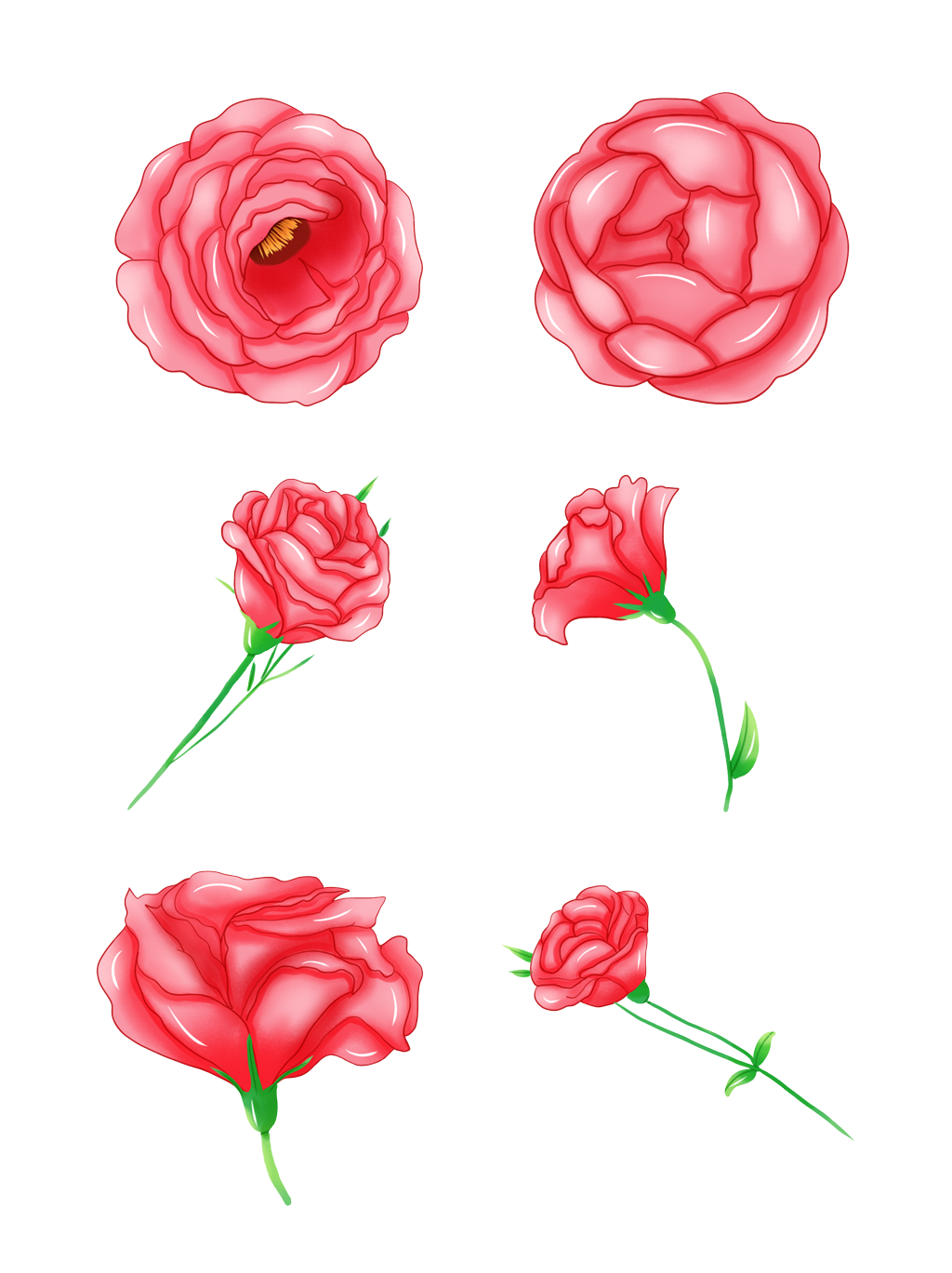 Drawing Of A Rose PNG Photos