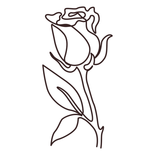 Drawing Of A Rose PNG Pic Background