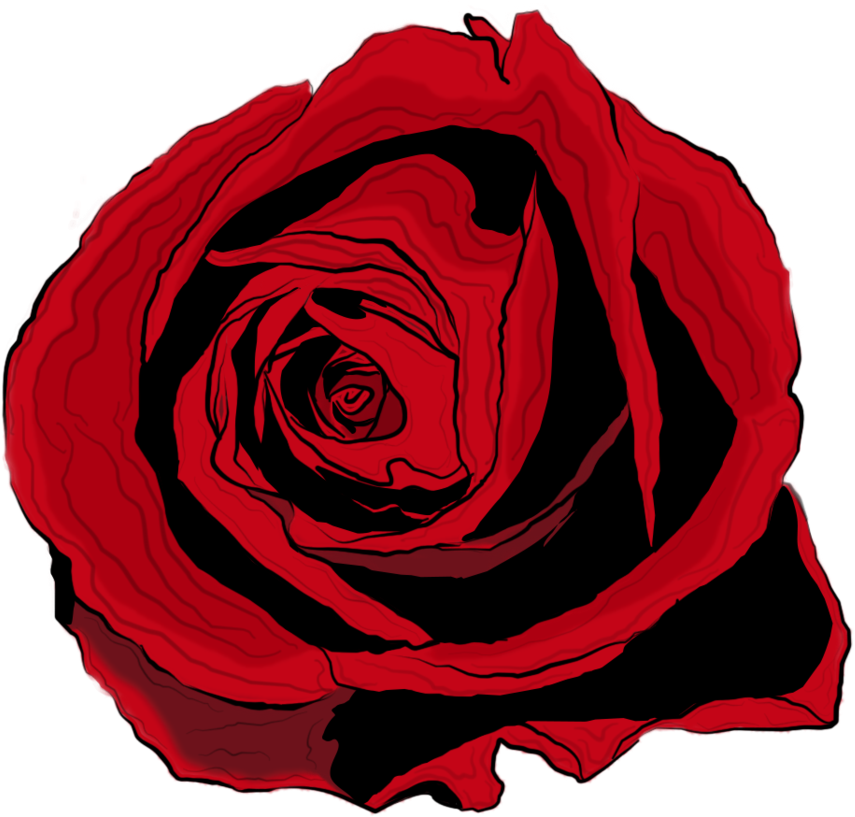 Drawing Of A Rose Transparent Background
