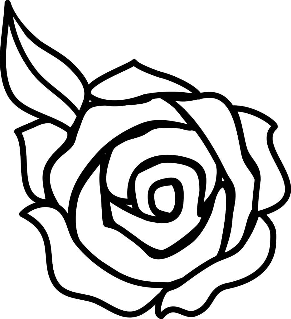 Drawing Of A Rose Transparent Free PNG