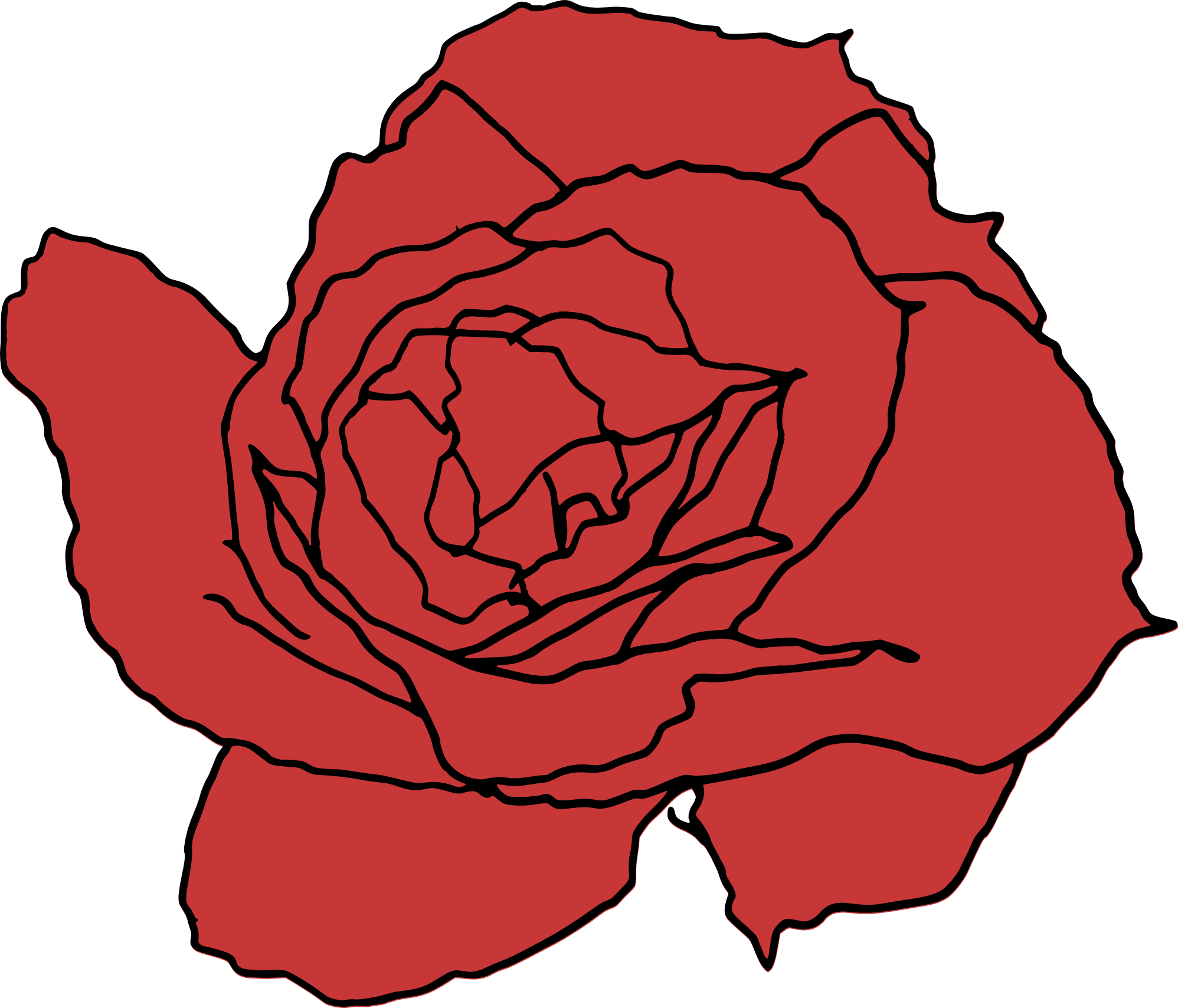 Drawing Of A Rose Transparent Image