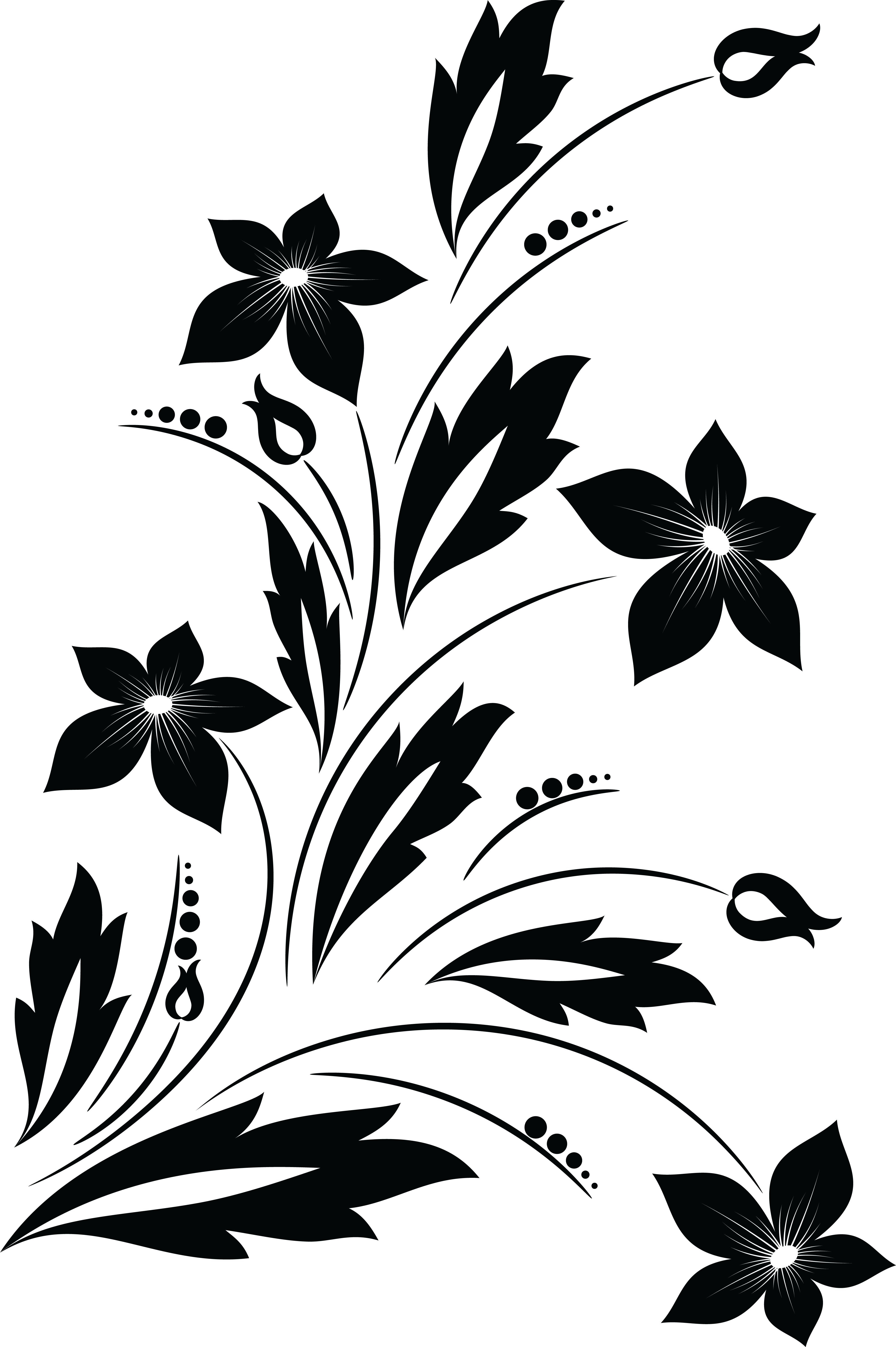 Drawing Of Flowers Background PNG