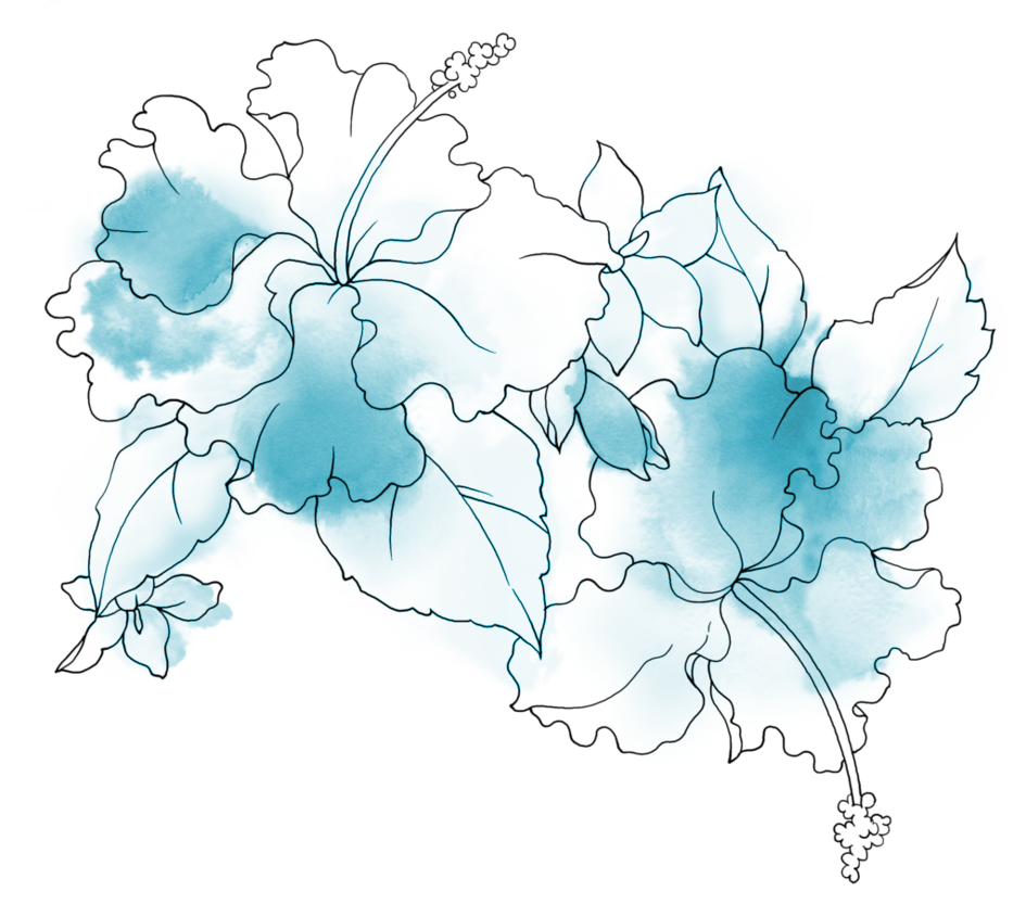 Drawing Of Flowers Free Picture PNG