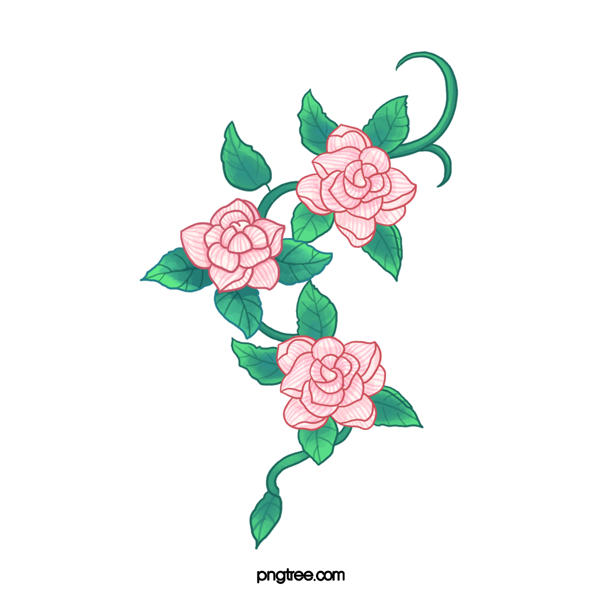 Drawing Of Flowers PNG Background