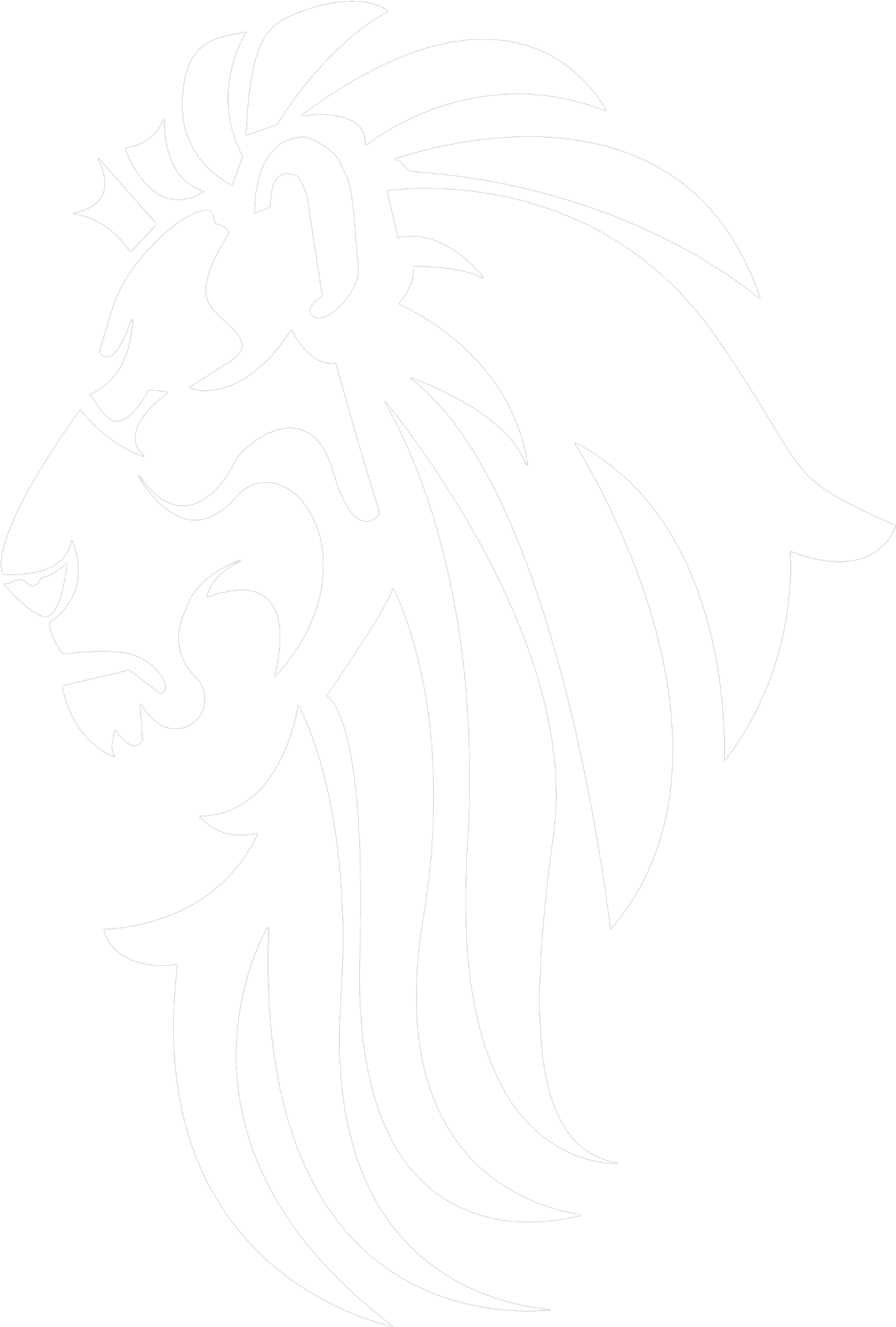 Drawing Of Lion Background PNG Image