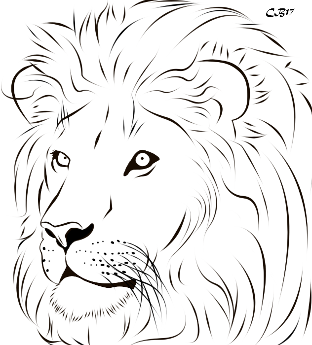 Drawing Of Lion Background PNG