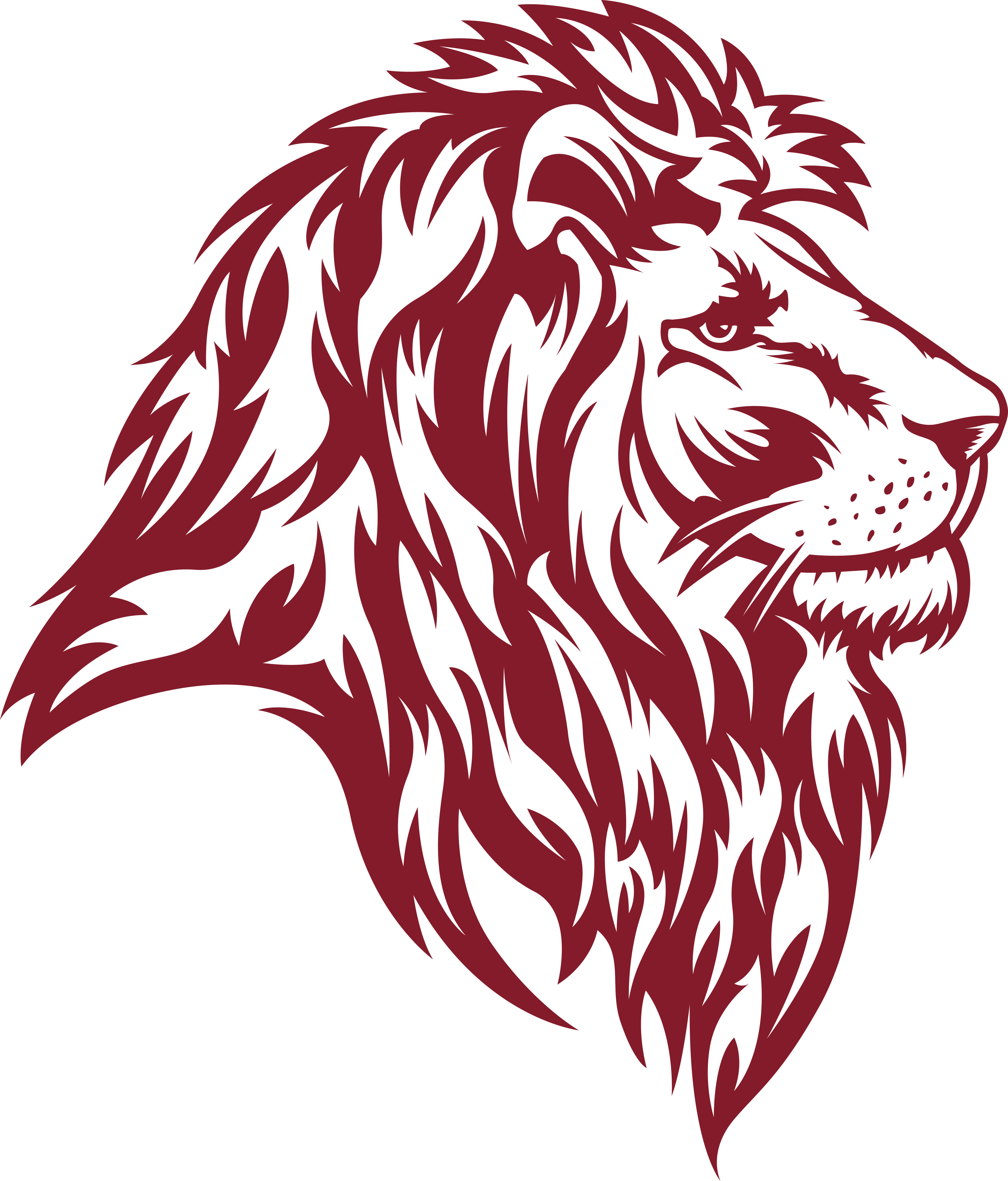 Drawing Of Lion PNG HD Quality