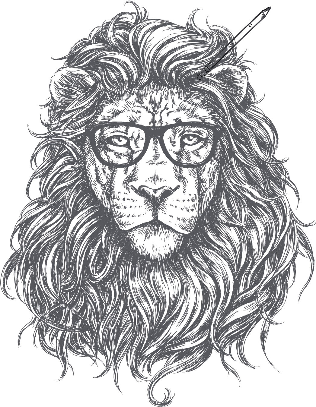 Drawing Of Lion Transparent Free PNG