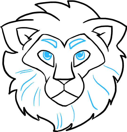 Drawing Of Lion Transparent Images