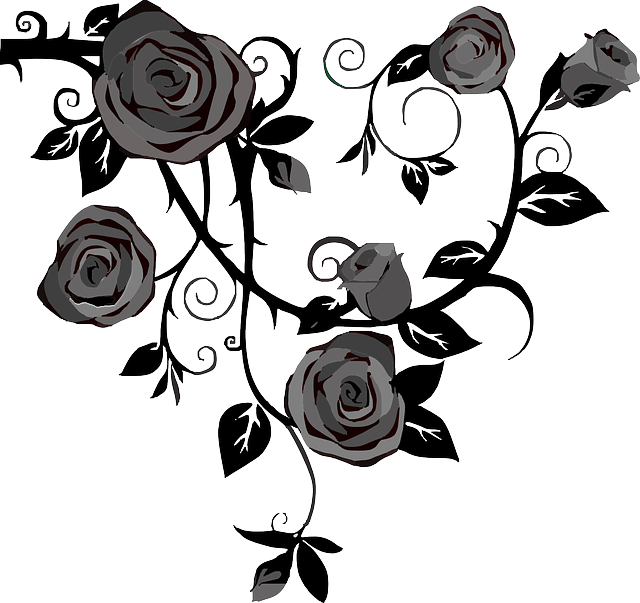 Drawings Of Roses Transparent Background