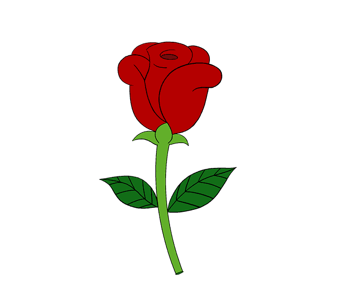 Easy Rose Drawings PNG Clipart Background