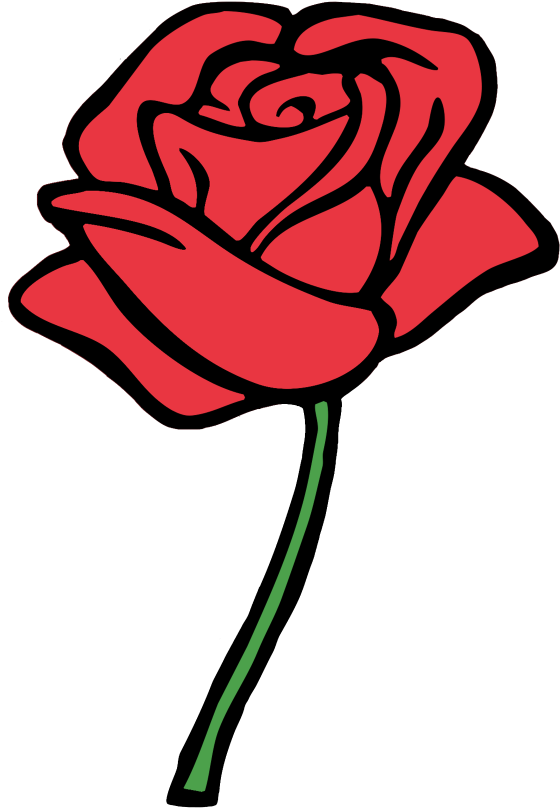 Easy Rose Drawings PNG Images HD