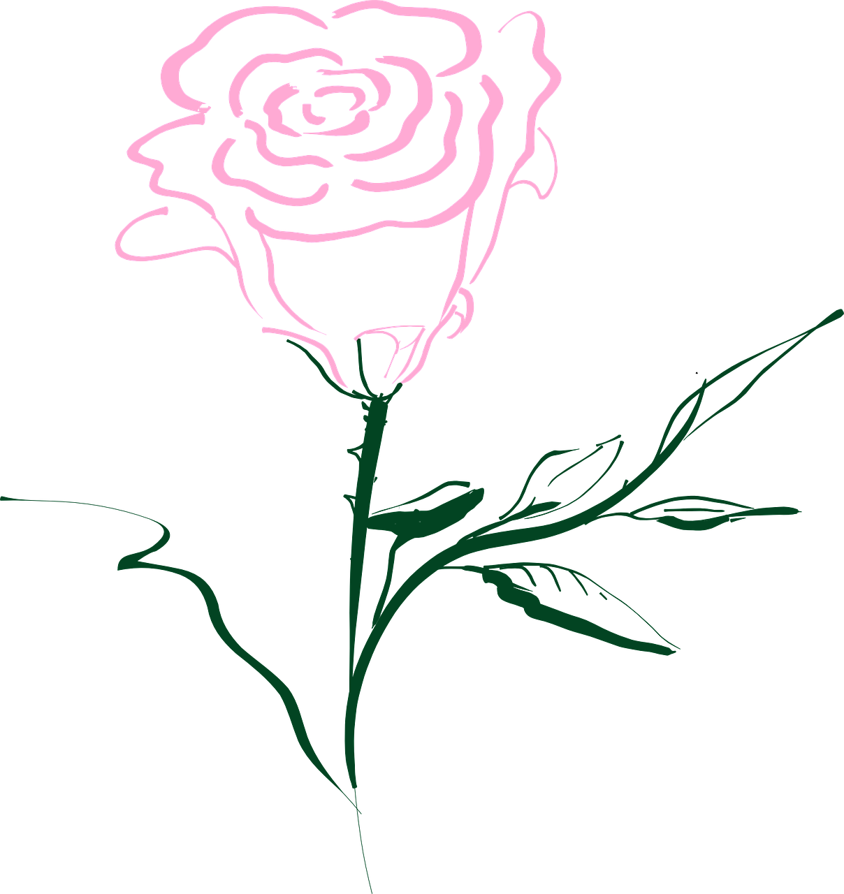 Easy Rose Drawings Transparent File