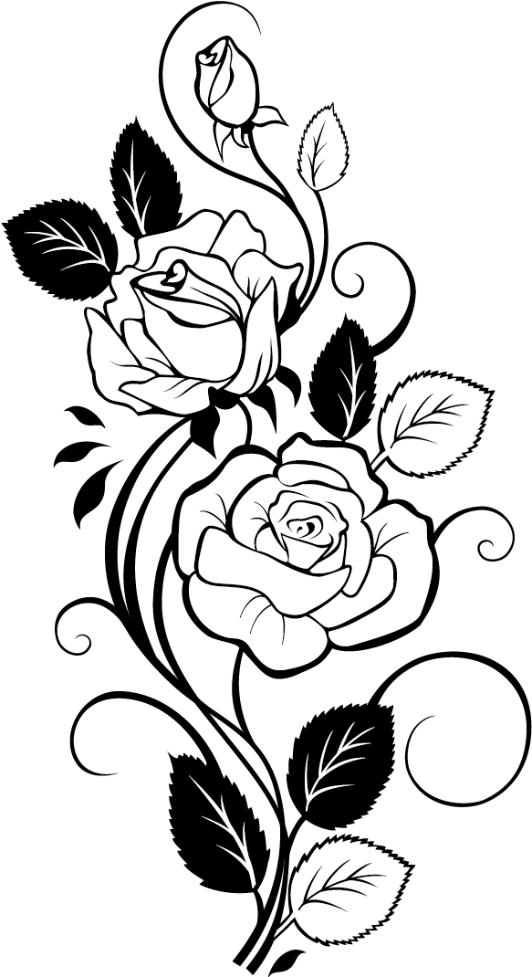 Easy Rose Drawings Transparent PNG