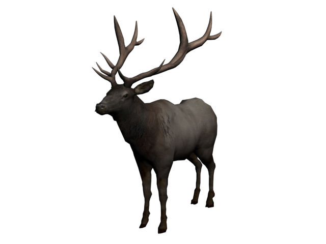 Elk Background PNG Clip Art Image