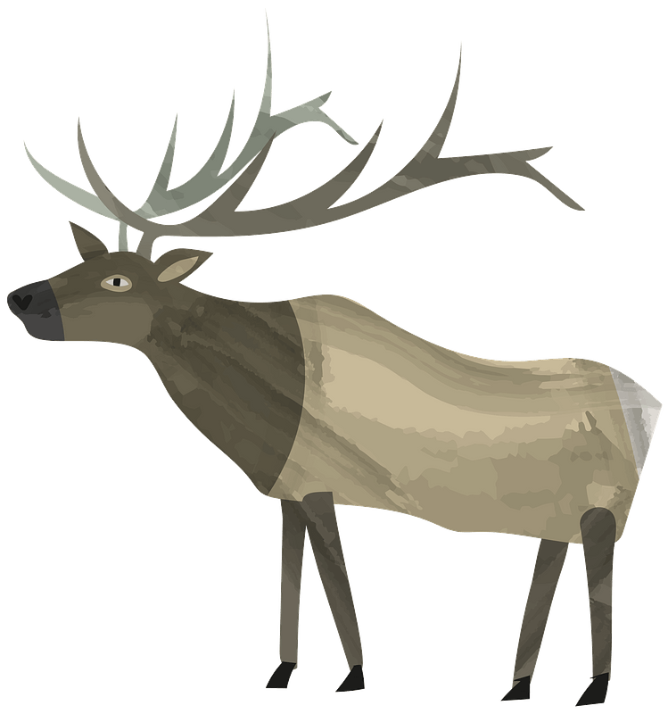 Elk PNG Background
