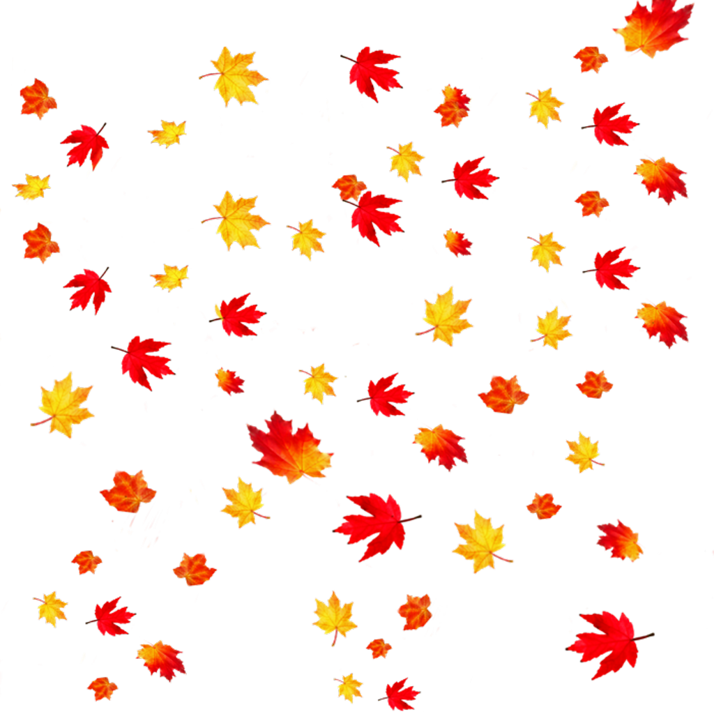 Fall Leaves Download Free PNG