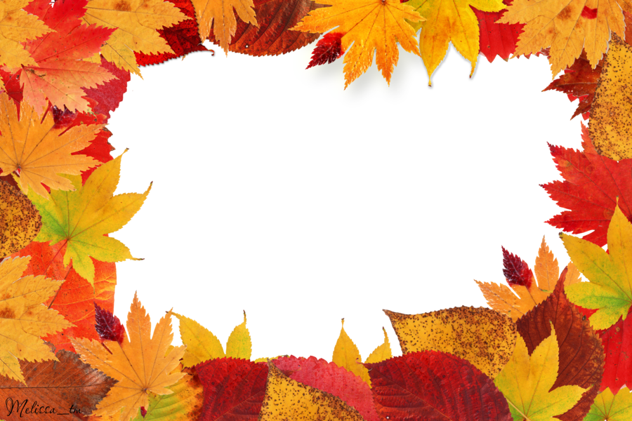 Fall Leaves PNG Images HD